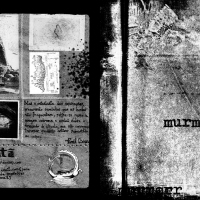 murmer_interv1